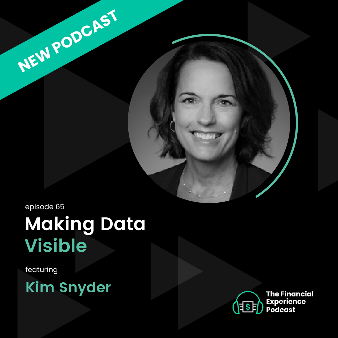New Podcast. Episode 65. Making Data Visible. Kim Snyder
